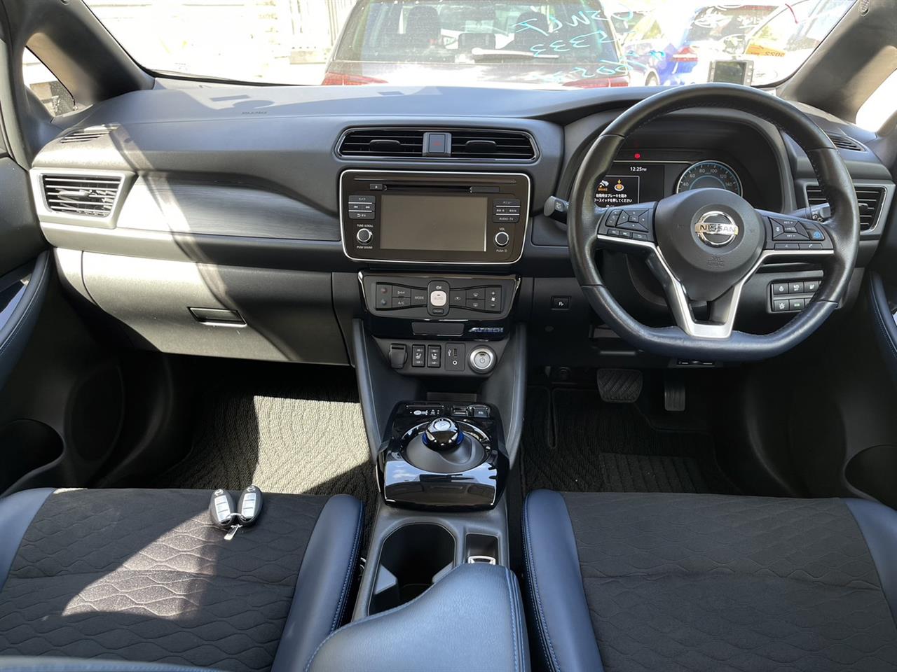 2019 Nissan Leaf